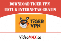 Tiger VPN