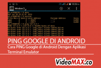 cara ping google di android