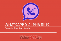 whatsapp x alpha