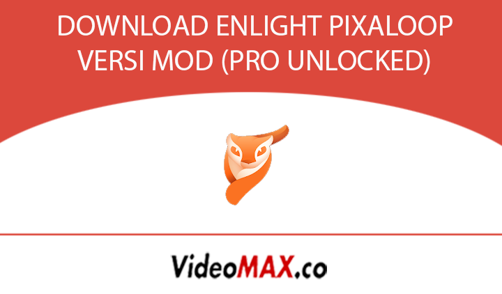 Enlight Pixaloop