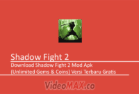 Shadow Fight 2