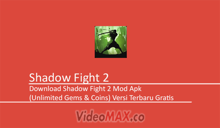 Shadow Fight 2