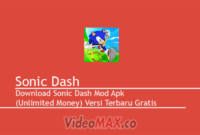 Sonic Dash Mod Apk