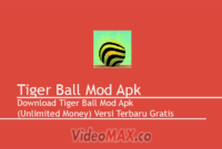 Tiger Ball Mod Apk