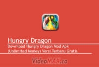 Hungry Dragon Mod Apk